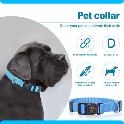 4-in-1 Pet Care Set: Cat and Dog Hair Remover Brush, Double-Sided Grooming Brush, Nail Clippers, and Nylon Collar for Medium Dogs
