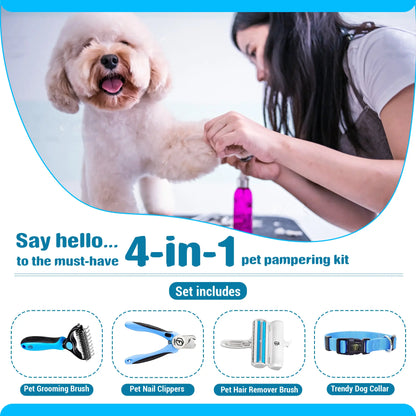 4-in-1 Pet Care Set: Cat and Dog Hair Remover Brush, Double-Sided Grooming Brush, Nail Clippers, and Nylon Collar for Medium Dogs