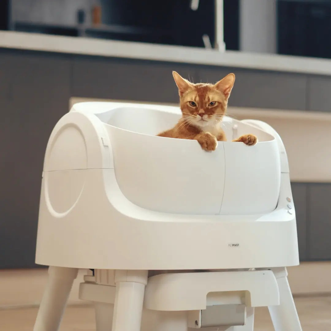 Automatic Cat Litter Box | Odor-Free Waste Disposal and Trash Bags Included