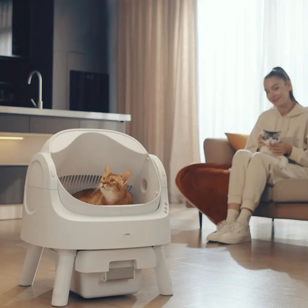 Automatic Cat Litter Box | Odor-Free Waste Disposal and Trash Bags Included