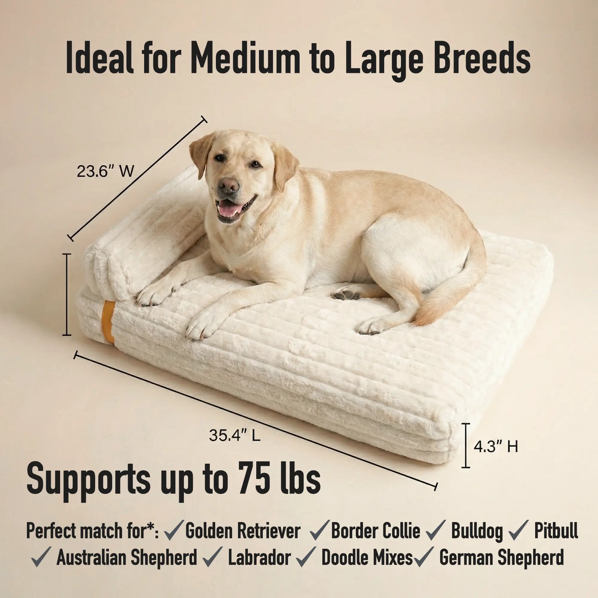 3-in-1 Orthopedic Dog Bed Bundle with Waterproof Leather, Corduroy, and Holiday Plaid Covers | Thick Memory Foam Support (36" x 24")
