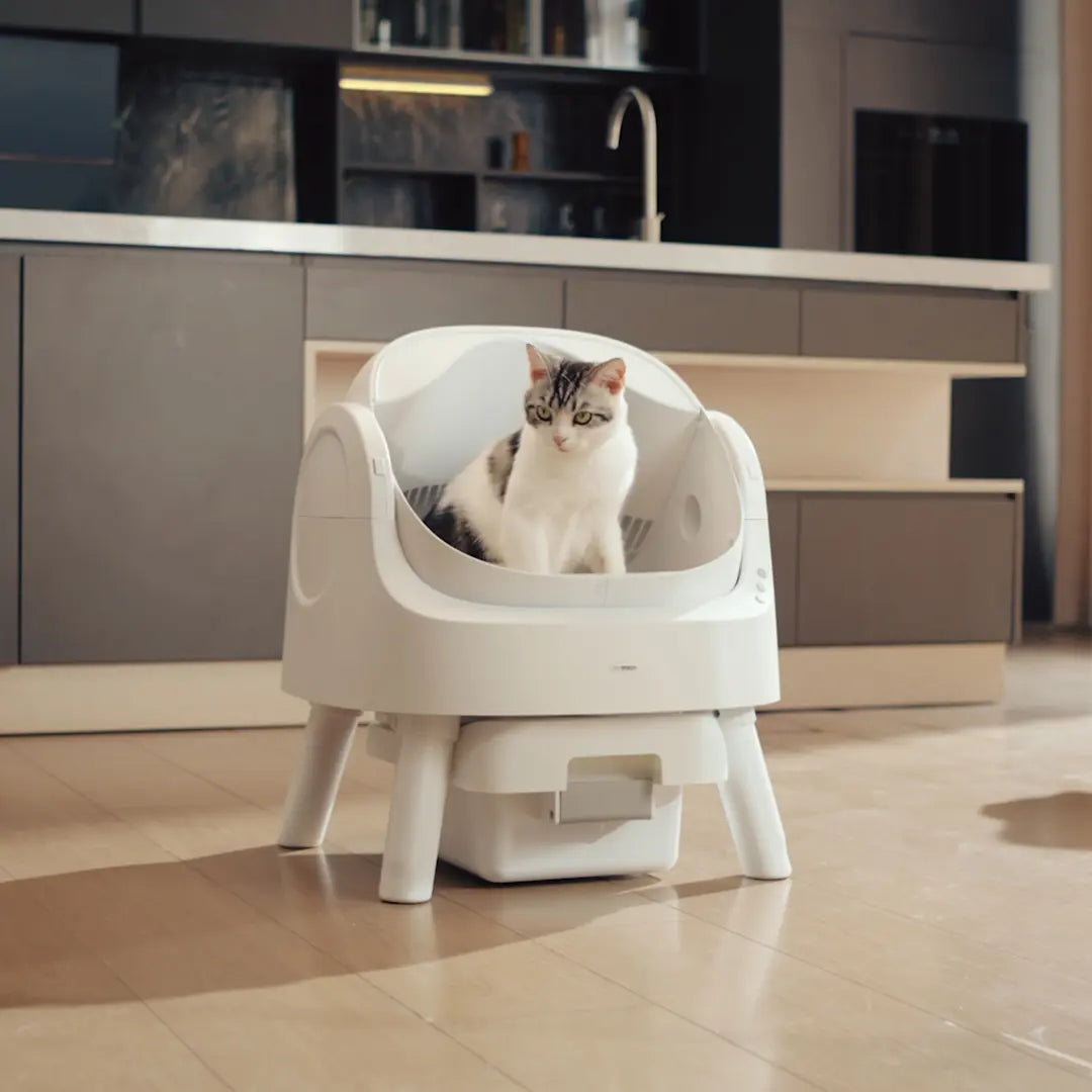 Automatic Cat Litter Box | Odor-Free Waste Disposal and Trash Bags Included