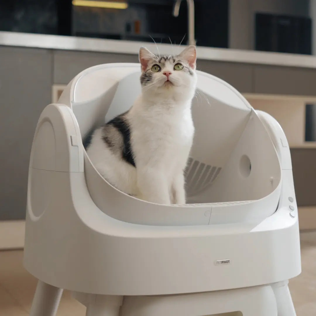 Automatic Cat Litter Box | Odor-Free Waste Disposal and Trash Bags Included