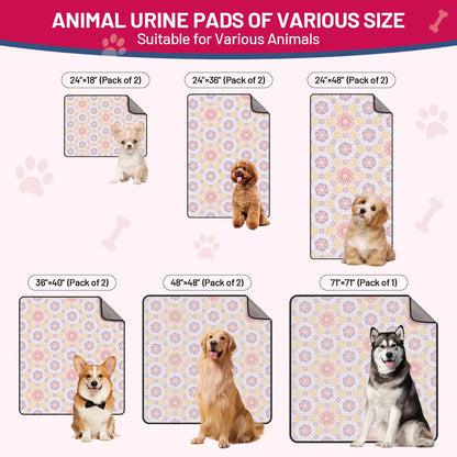2-Pack Washable Pee Pads: Super Absorbent, Waterproof & Leak-Proof, Non-Slip, Ideal for Training, Crates, Sofas, Cars, & More